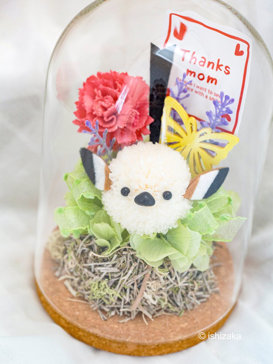 シマちゃん・▴・お花のシマエナガ tweet media