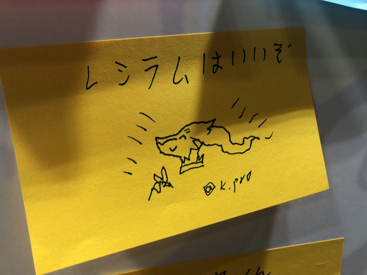 ショルト(k.pr0)👏 tweet media