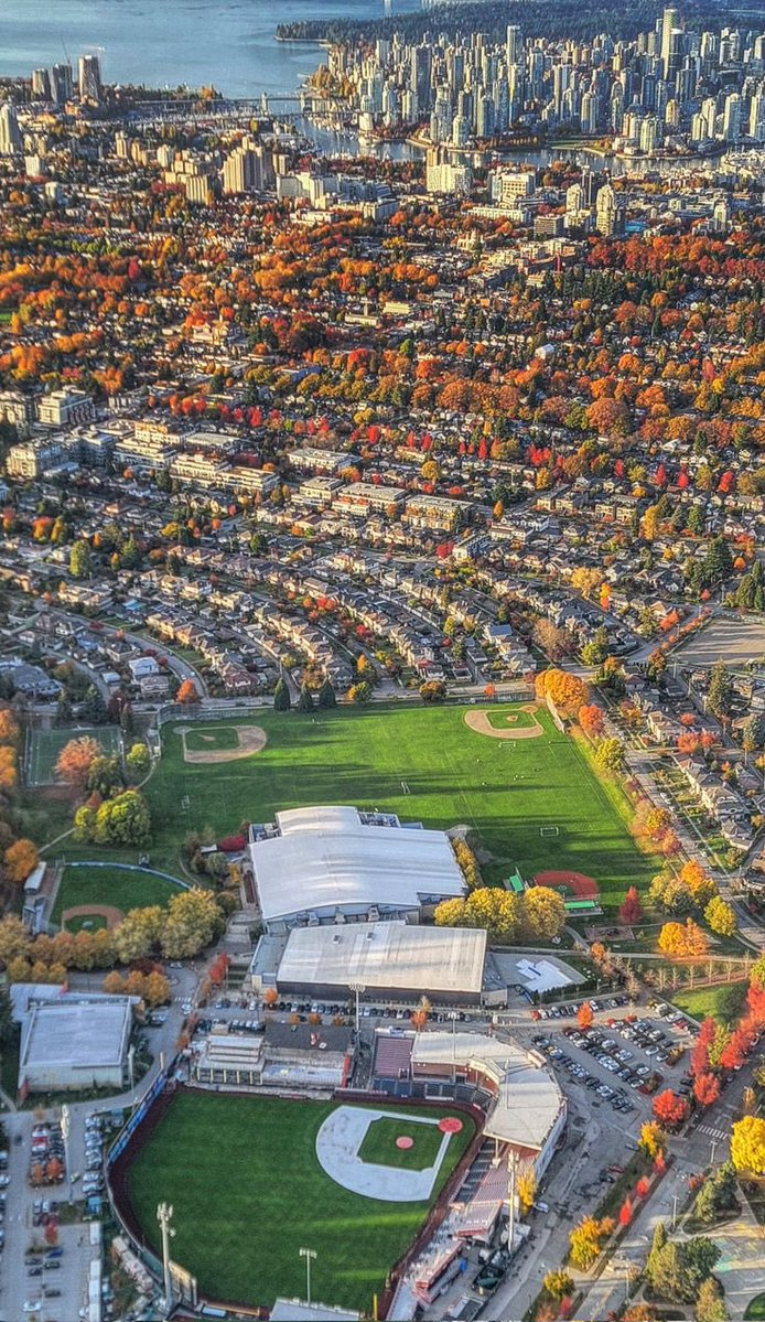 Made In Canada tweet media