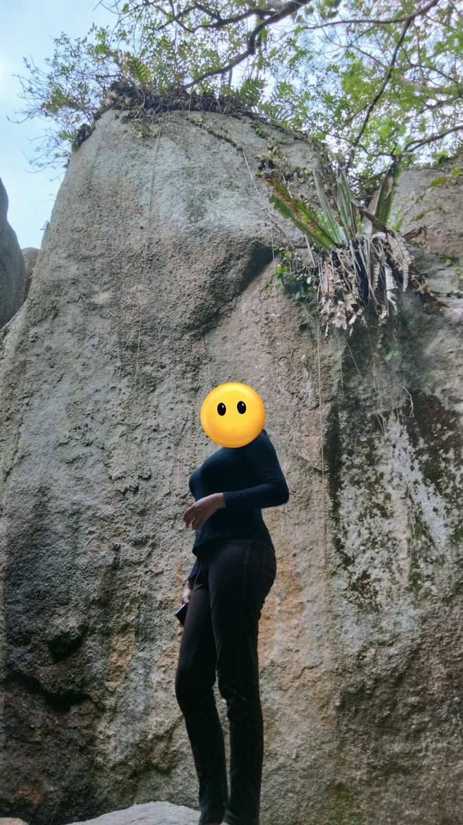 Red cake tweet media