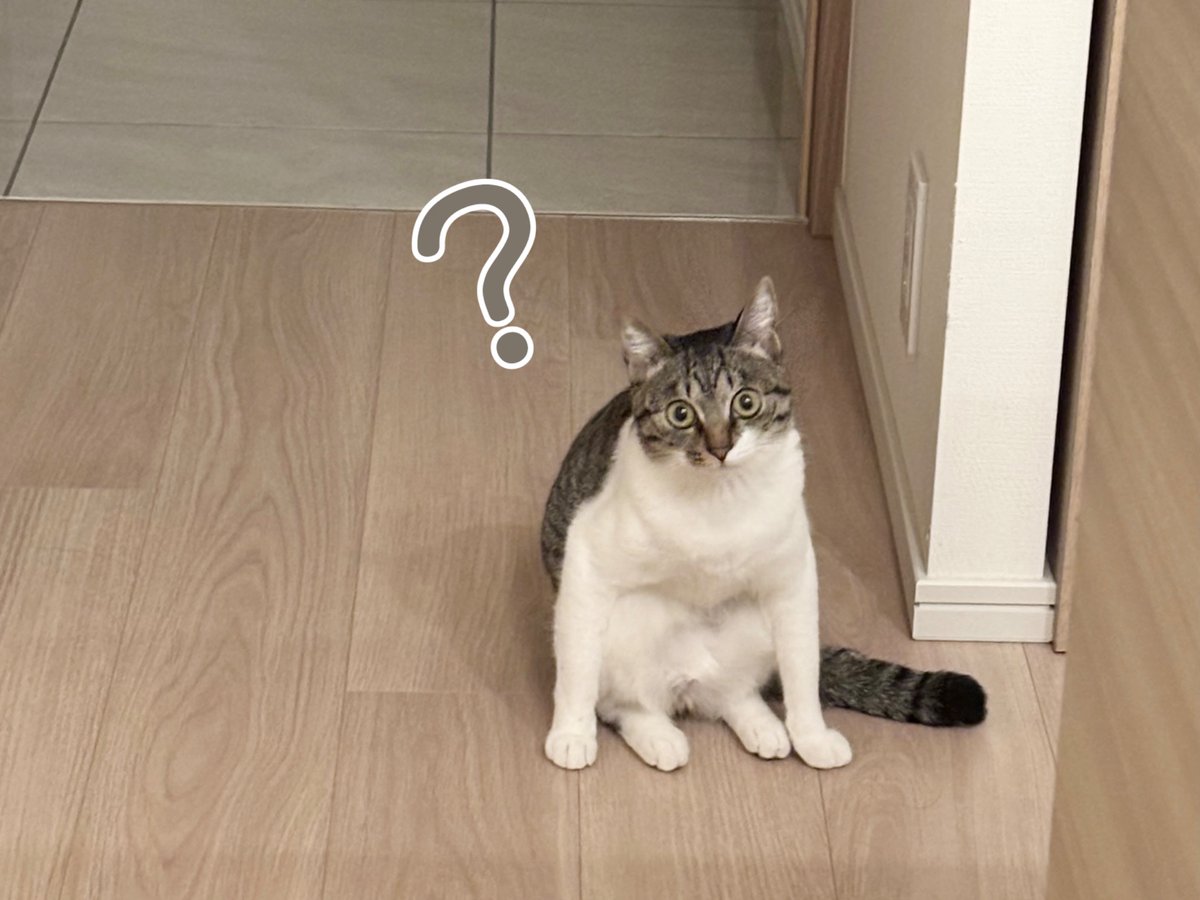 本当に表情豊かです😂