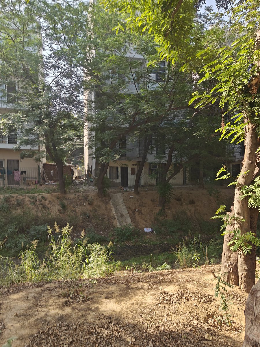 ChandelAtindra's tweet photo. @KotakCares &amp; @I_Am_Gurgaon a good job at cleaning and maintaining the Aravali Creek at Sec. 56. Still there are adjoining socities, especially E Lane Sushant Lok 4  https://t.co/SgK12P5YTM that regularly dump garbage. Can someone talk to their RWA to stop  it. @MunCorpGurugram https://t.co/0ezxeWxtWg