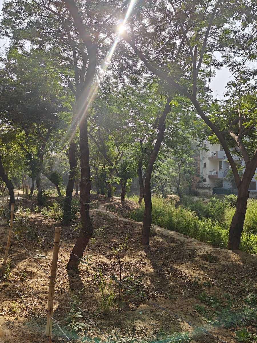 ChandelAtindra's tweet photo. @KotakCares &amp; @I_Am_Gurgaon a good job at cleaning and maintaining the Aravali Creek at Sec. 56. Still there are adjoining socities, especially E Lane Sushant Lok 4  https://t.co/SgK12P5YTM that regularly dump garbage. Can someone talk to their RWA to stop  it. @MunCorpGurugram https://t.co/0ezxeWxtWg