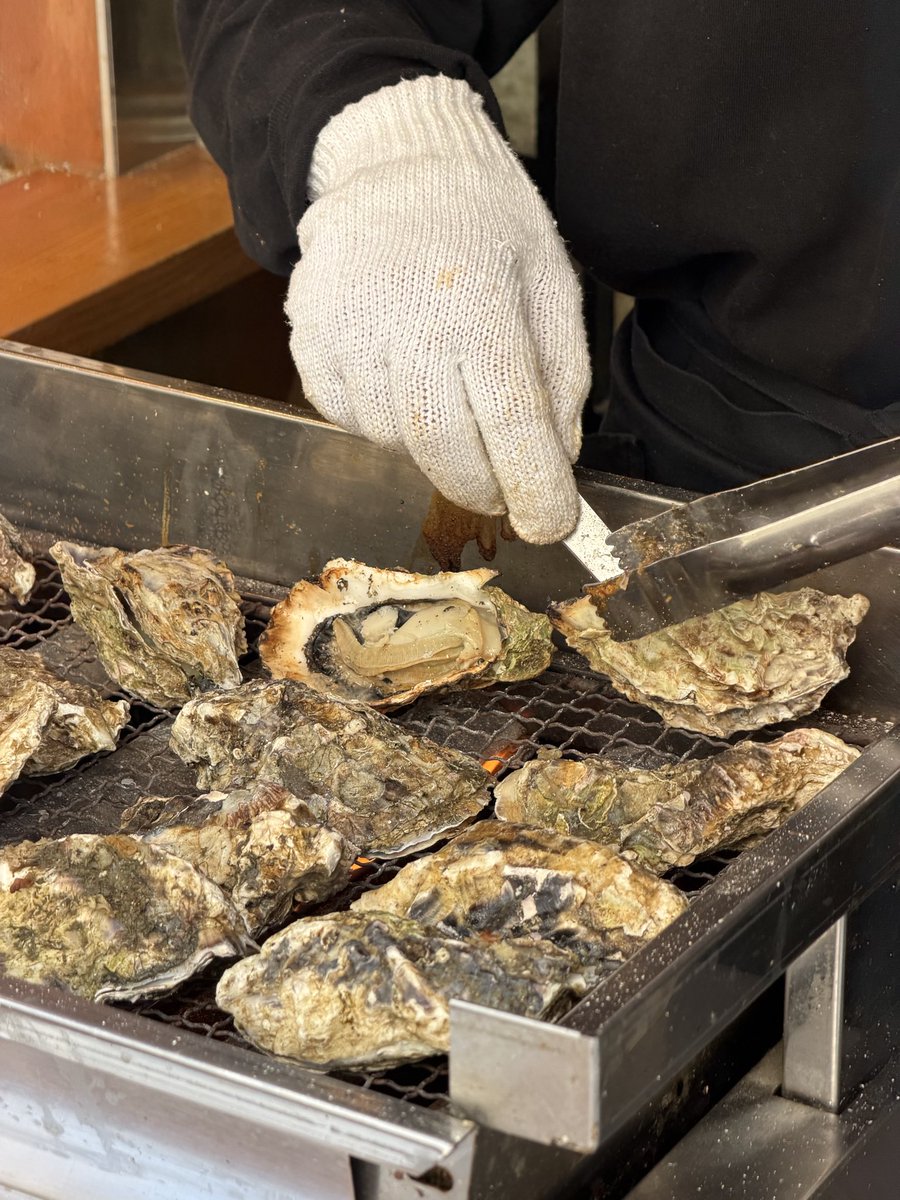 авокадо хасс 🥑 tweet media