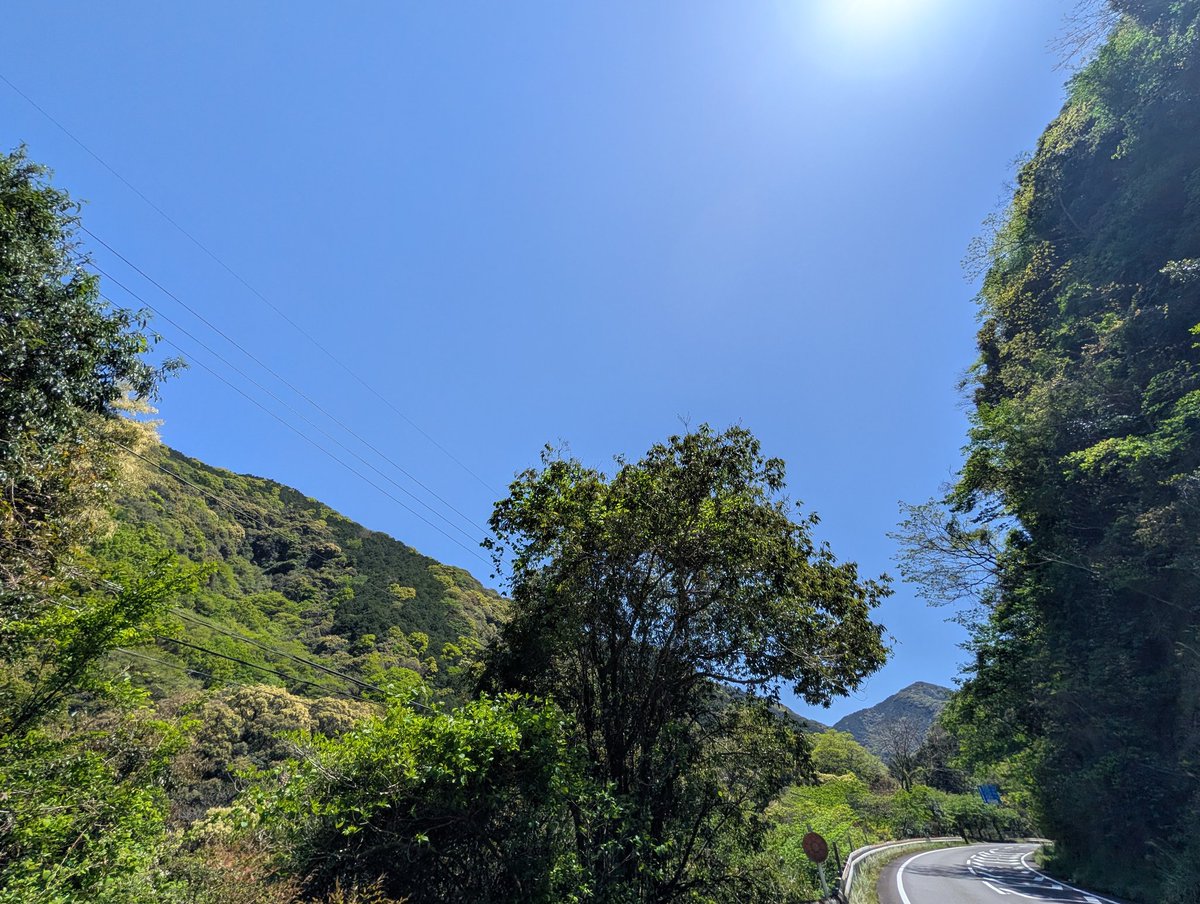 今日は出水市役所まで会社の用事で🚗今からこの山を越えて鹿児島市に帰ります。お天気よくて良かった、山の緑がとても美しいです😊
午後からも良い時間に☕🌿