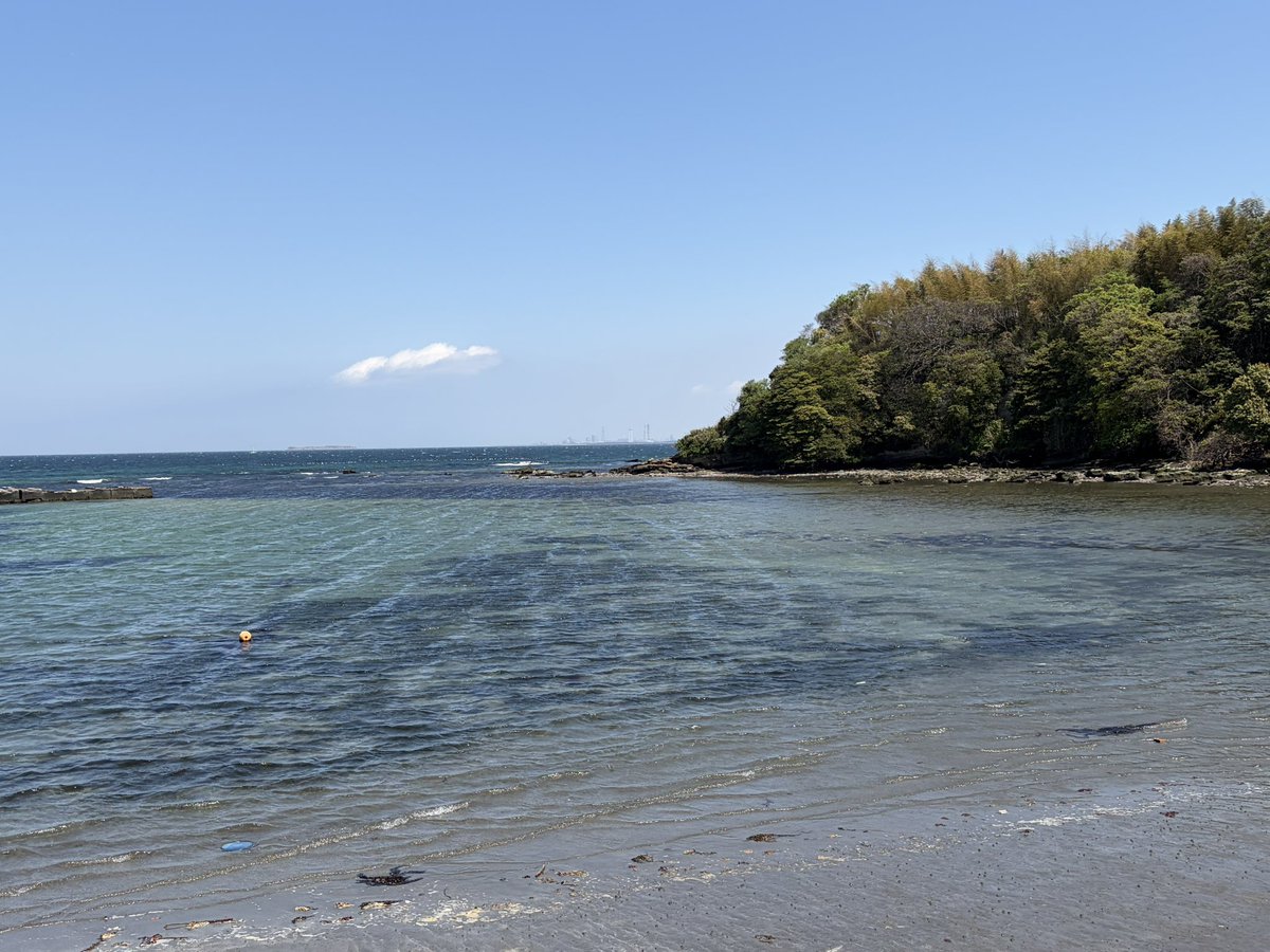 如月卍丸@アスラ tweet media