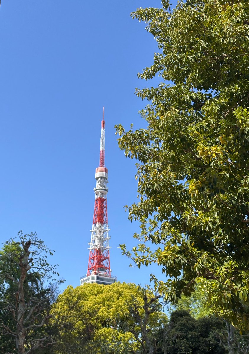 本日も朝から。今日で本当にFirstシーズン終わり。一番ハードな山は超えたぜ。お疲れ様、私！
そして流れるように月曜から2ndシーズンへ突入。まだまだままならない日々は続くけれど、ここから先は少し気楽にいけるはず。焦らすゆるゆると参りまーす
