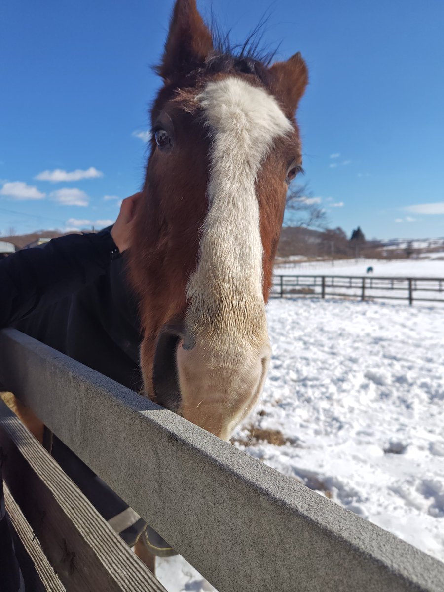 にょろにょろぴょん tweet media