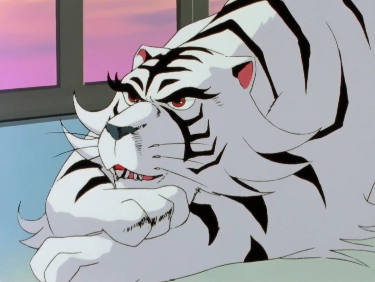 aynlander tweet media