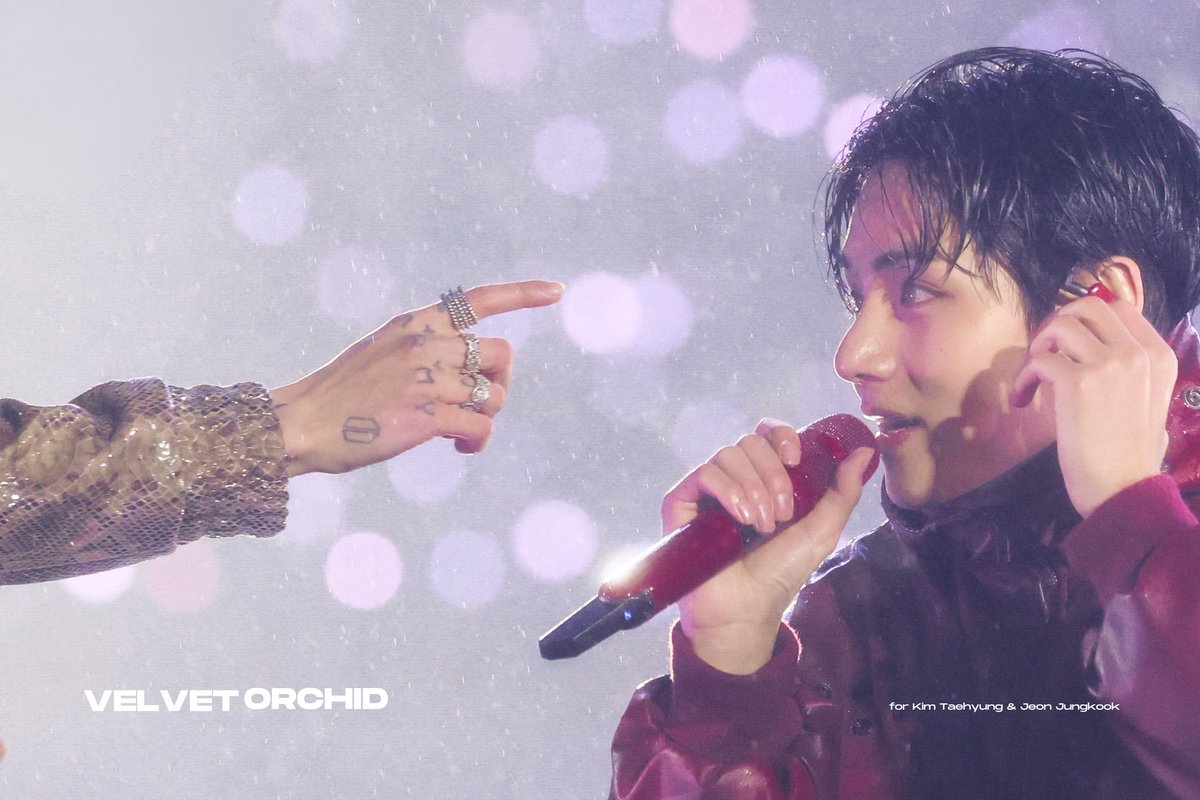 Velvet Orchid tweet media