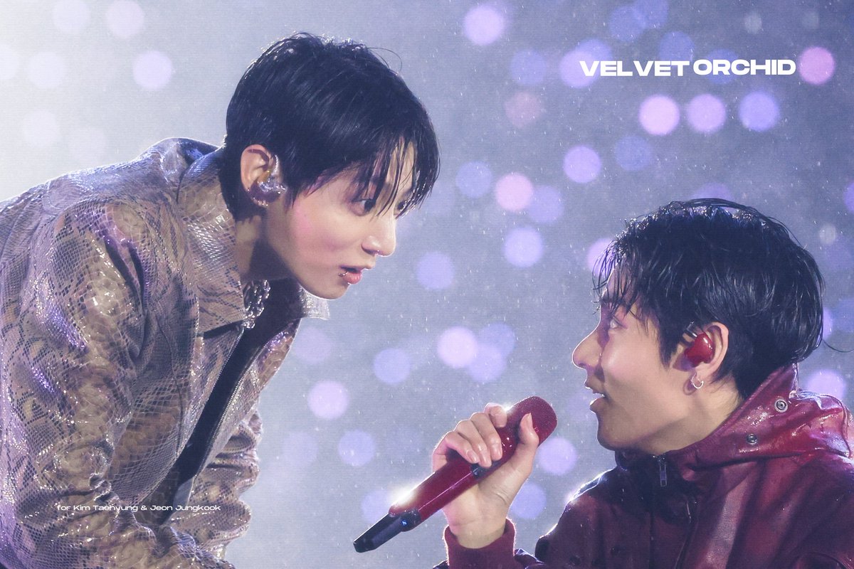 Velvet Orchid tweet media