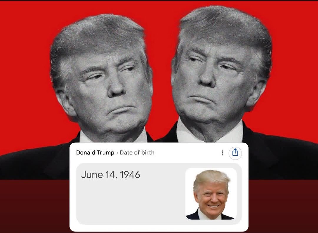 Zii Hamdy tweet media