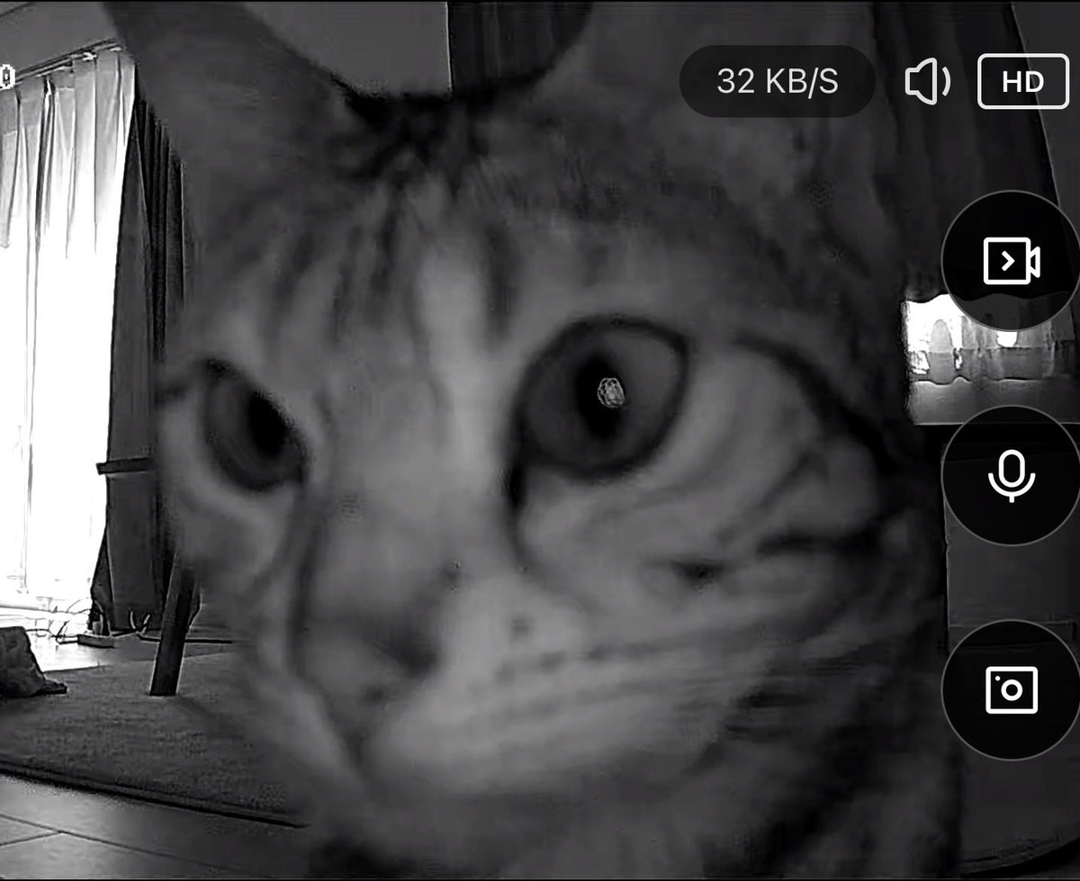 たくん tweet media