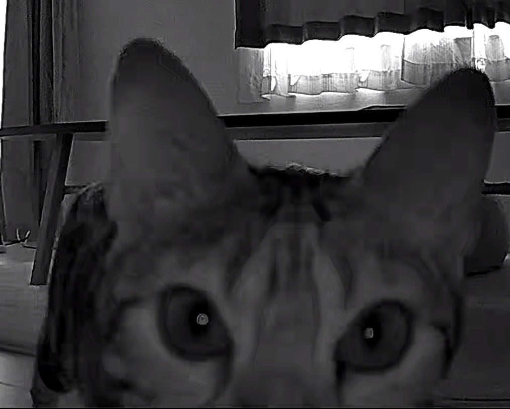 たくん tweet media