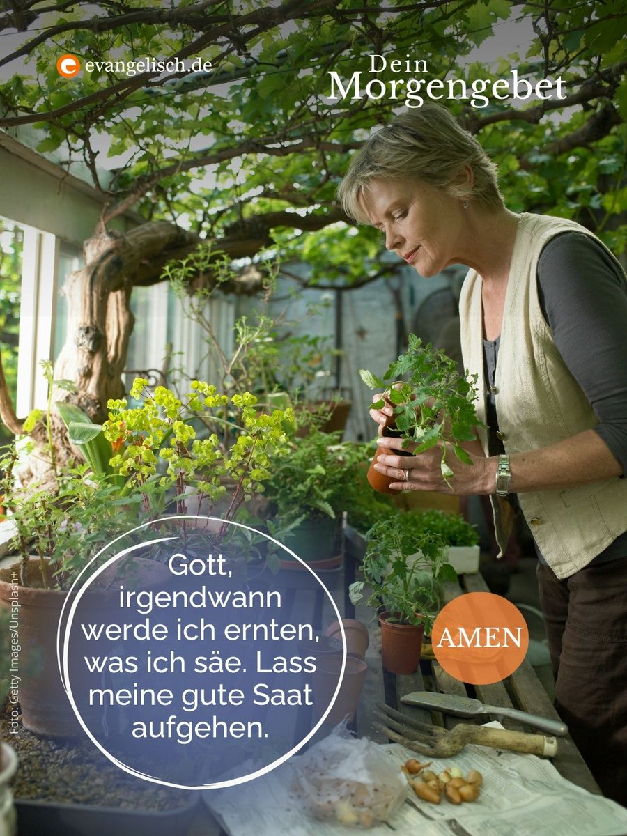 evangelisch.de tweet media