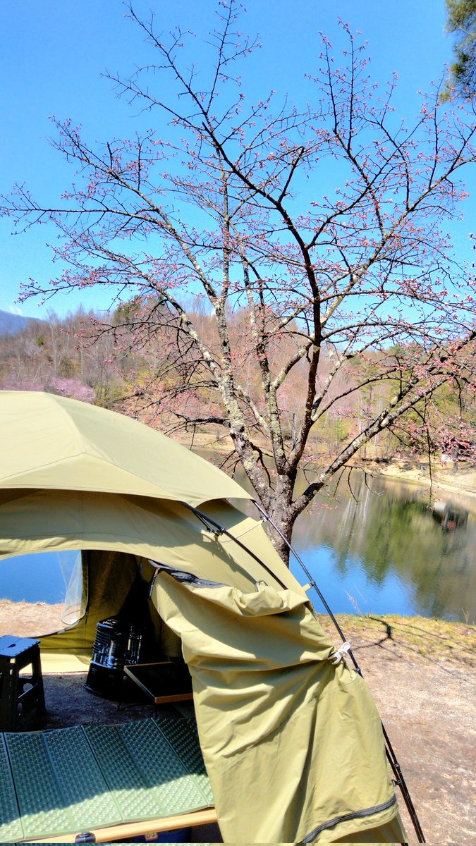 Mituo@🐝🎹 803 tweet media