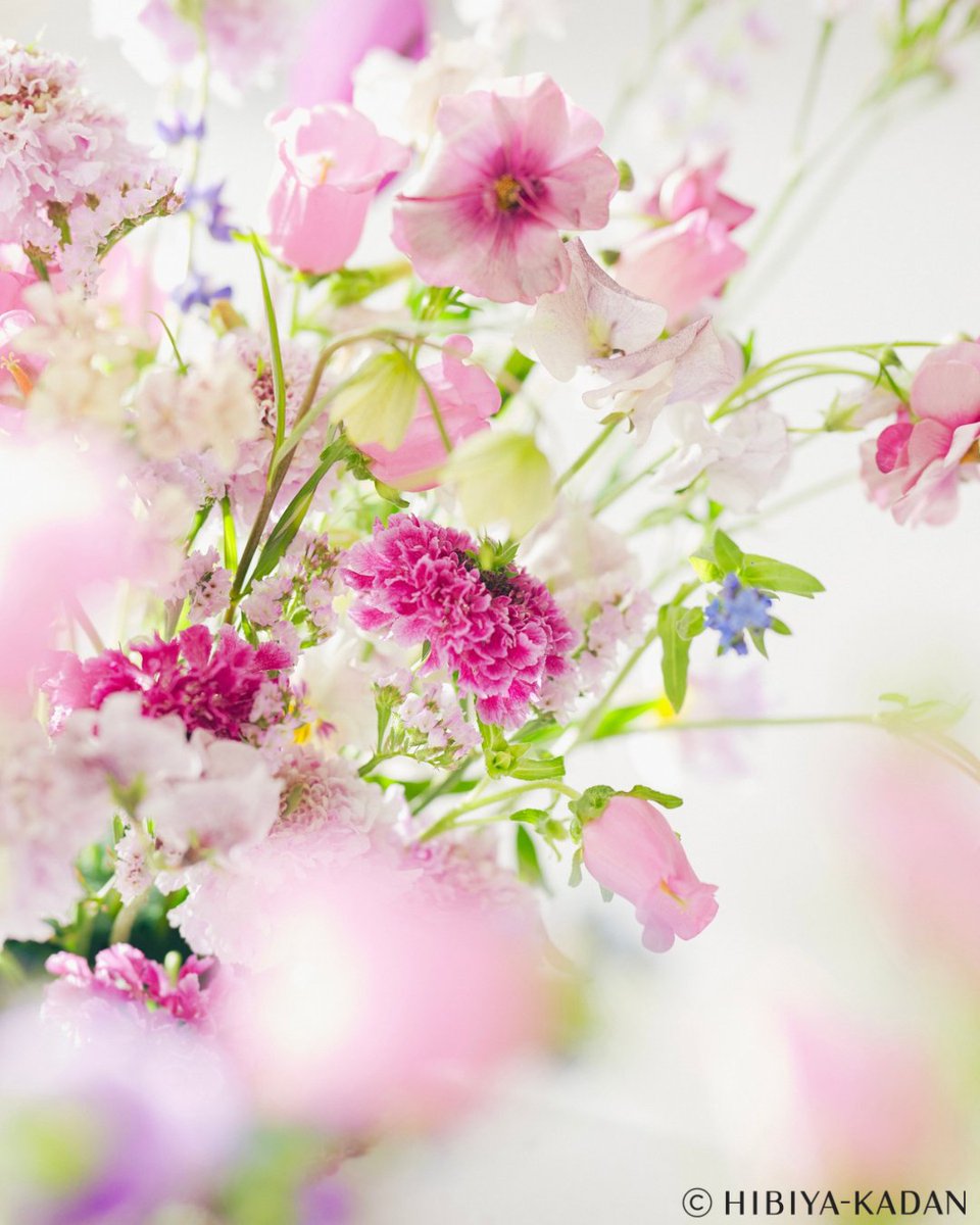 indexofficial1's tweet image. インデックス30周年記念！
日比谷花壇とのスペシャルコラボ💐

コラボ発売に併せて、インデックスのショップでは
お買い上げの方へ限定ショッパーをプレゼント🎁

※数量限定
※インデックス店舗のみ
※お花は付いておりません

#村上愛花 #日比谷花壇 #index