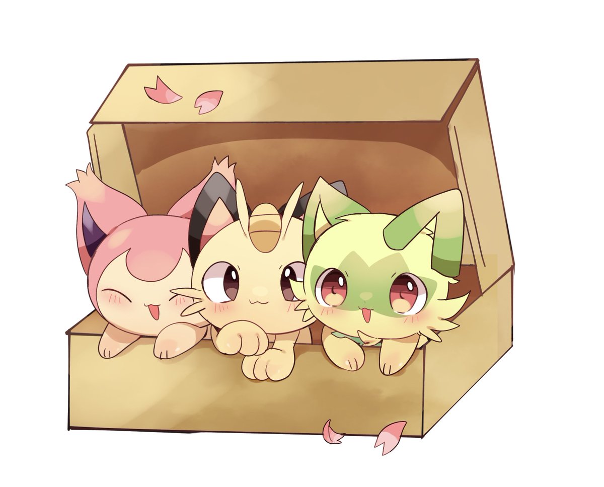 🌱ゆぽ仔🌱 tweet media