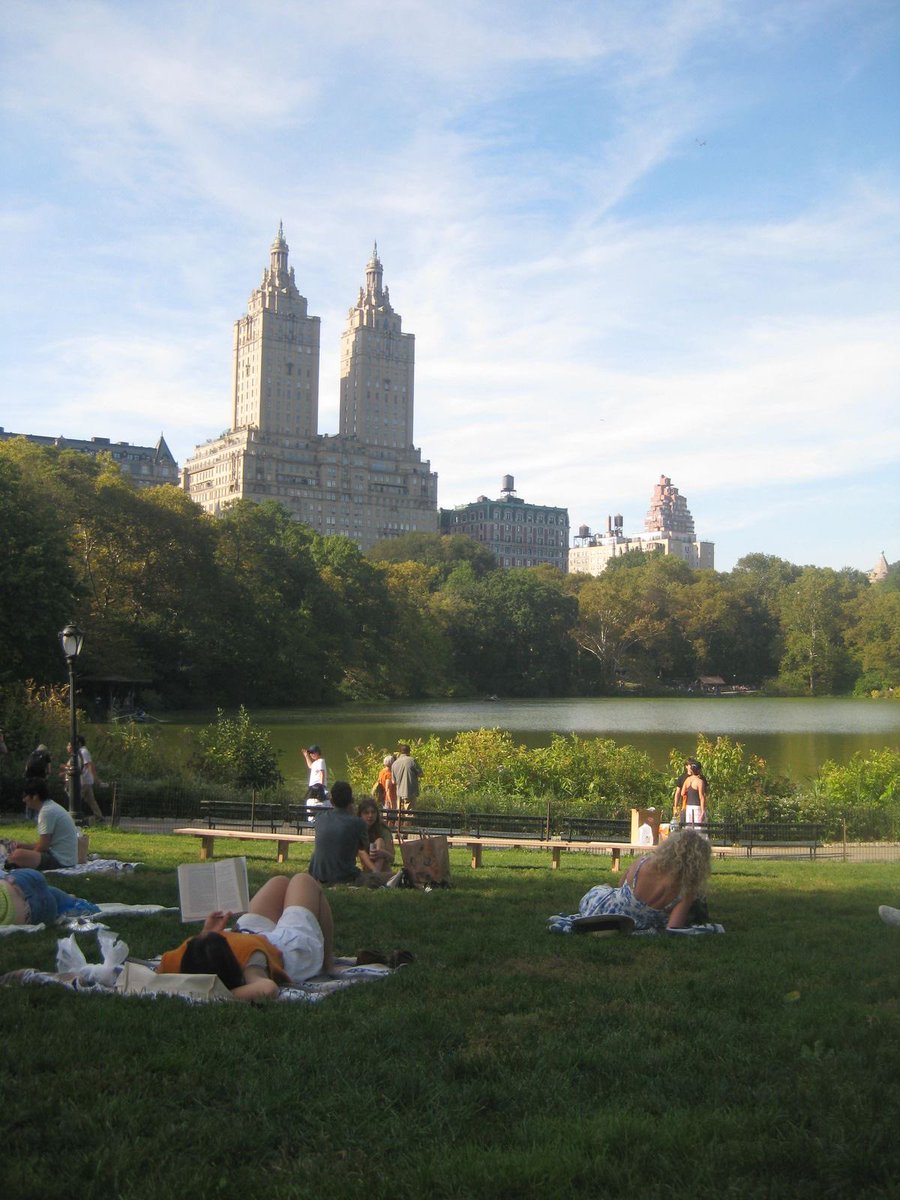 La Luna 🌙 tweet media