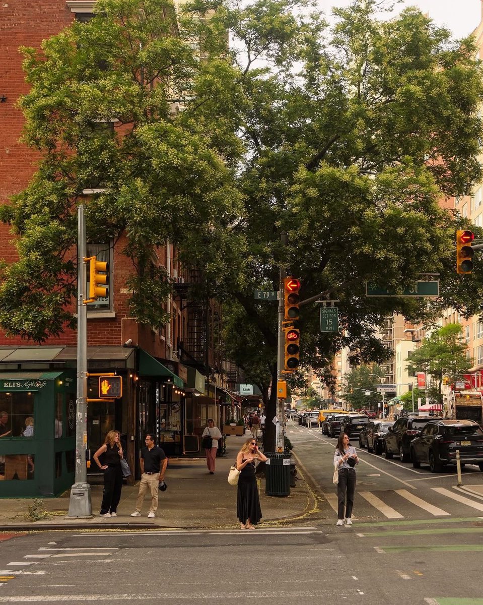 La Luna 🌙 tweet media