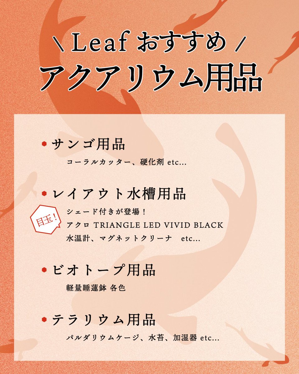 CORALROOM公式 tweet media