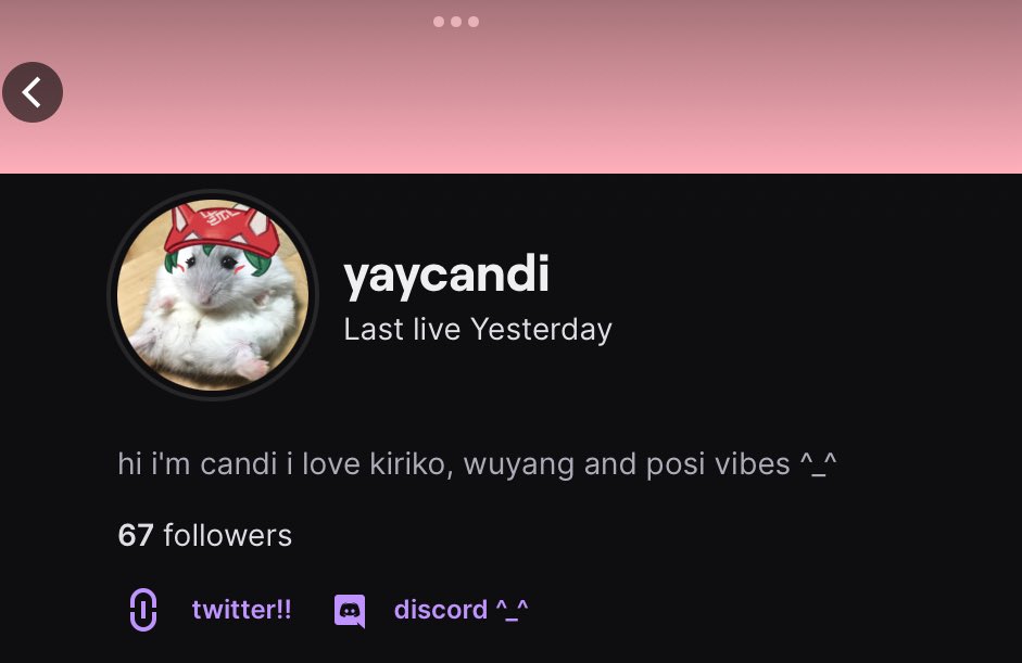 candi tweet media
