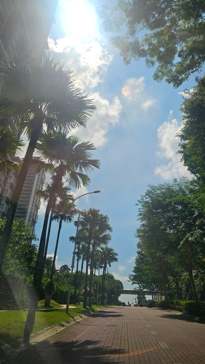 𝗖𝗮𝘀𝘀𝗮𝗻𝗱𝗿𝗮 tweet media