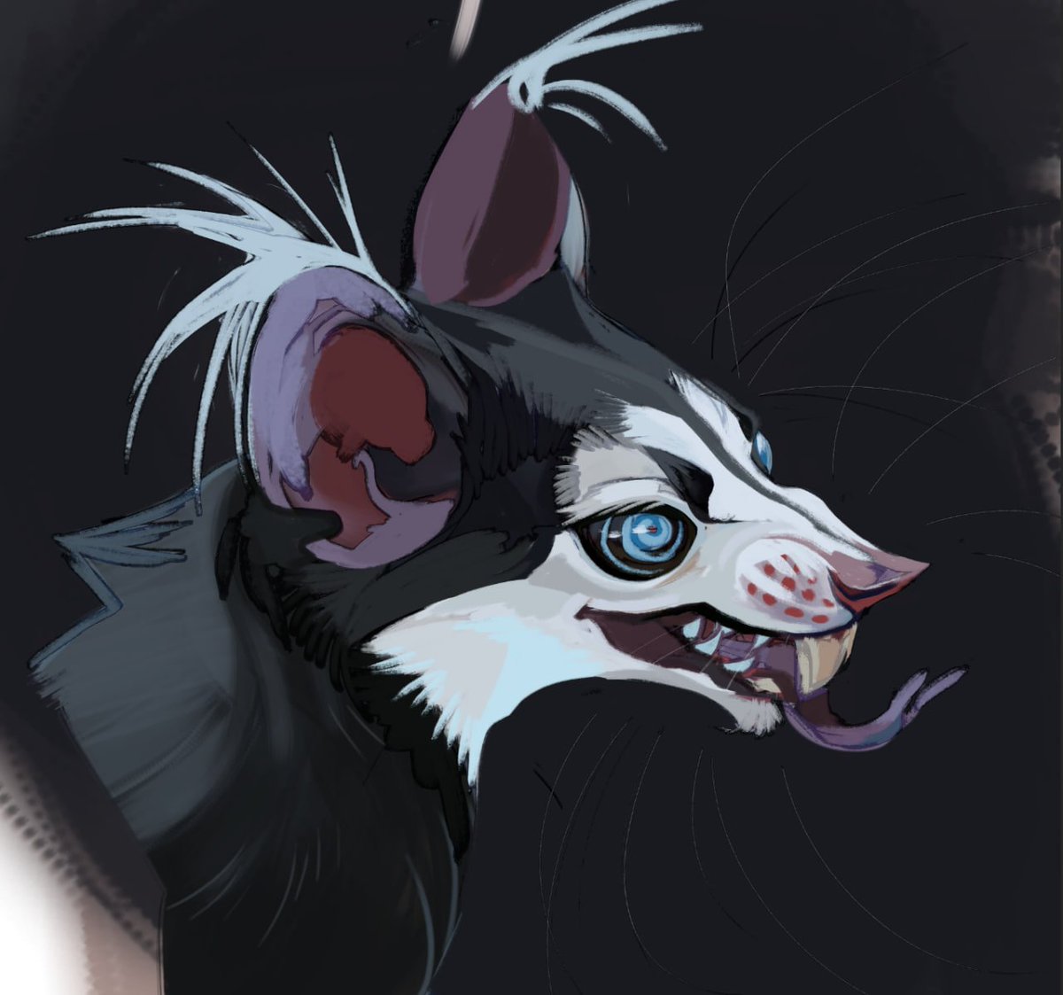 ℜ𝔢𝔶𝔡𝔢𝔤𝔬𝔯 ᚱᚷᚫ tweet media