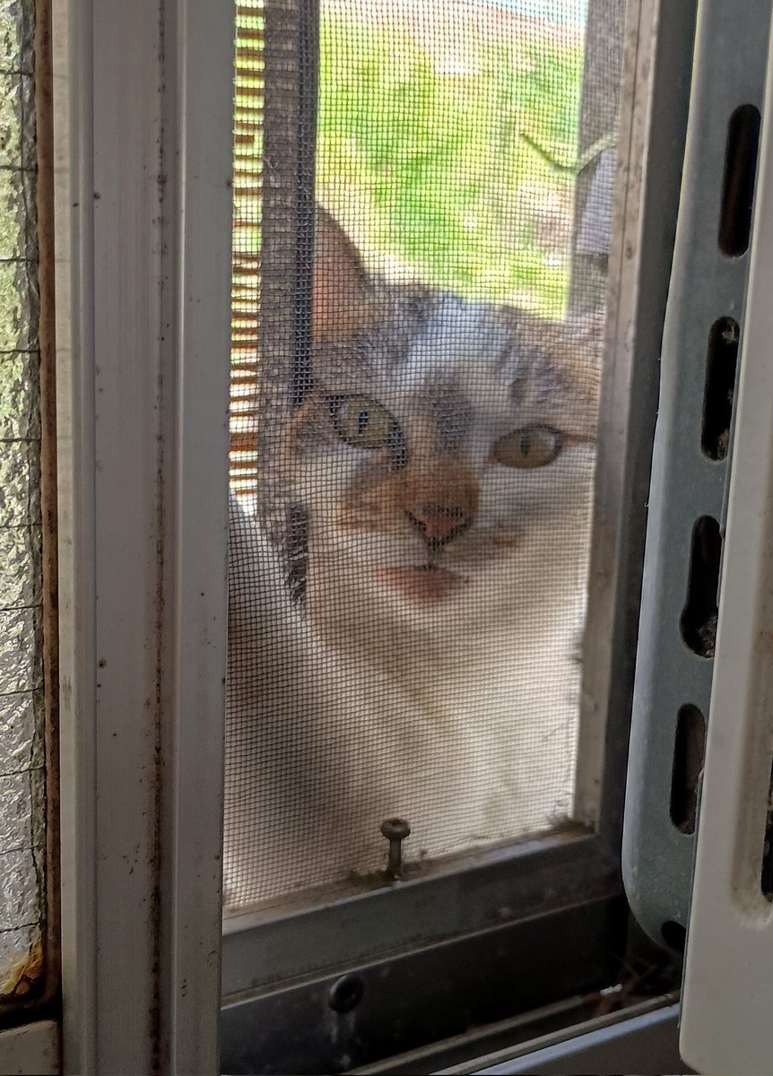 Kazumi Kaneko tweet media