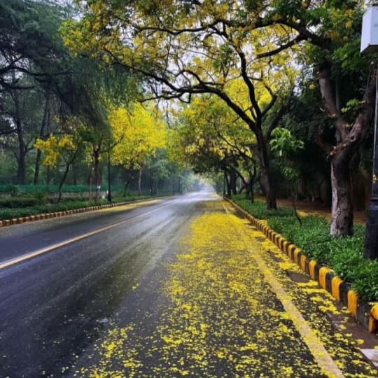 Indian Infra Report tweet media