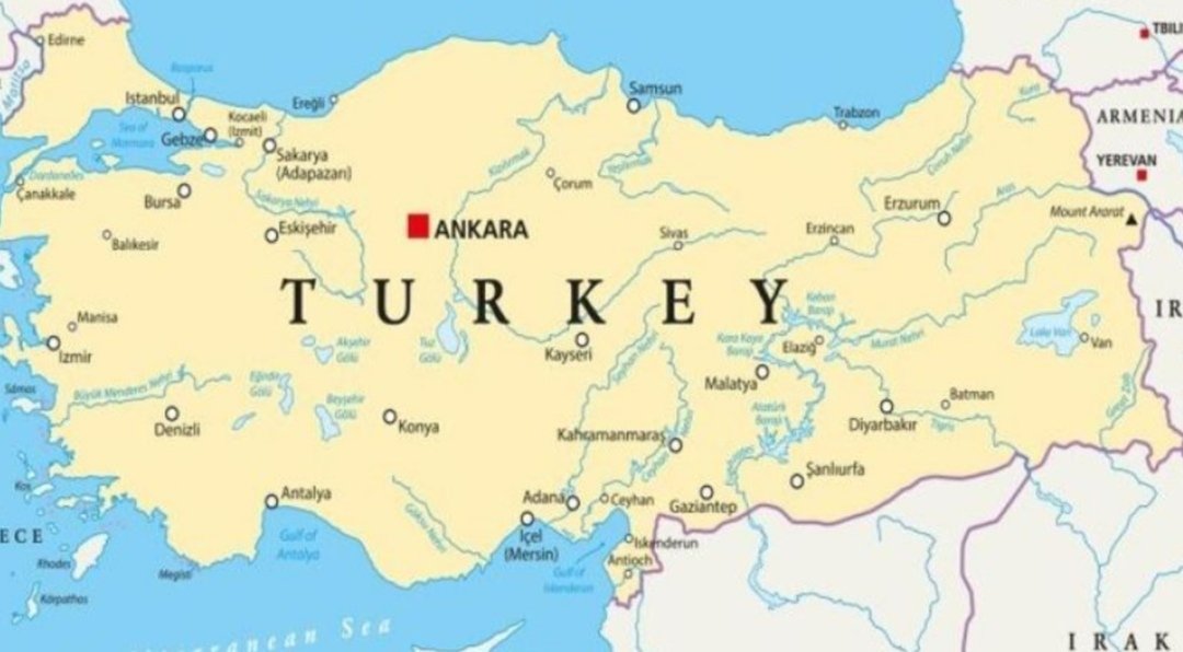 Kadıköydeki kel adam tweet media