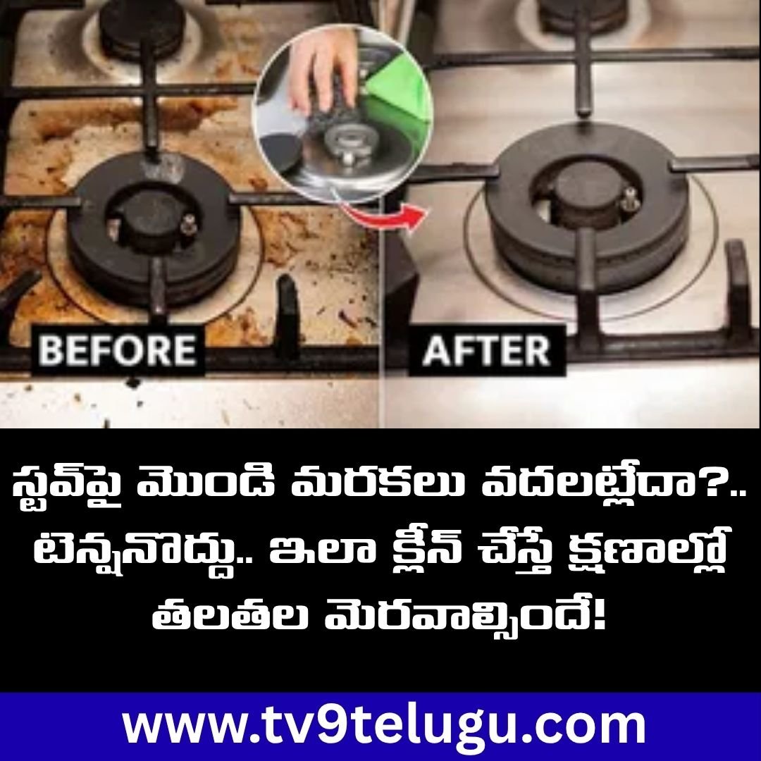 TV9Telugu's tweet image. స్టవ్‌పై మొండి మరకలు వదలట్లేదా?.. టెన్షనొద్దు.. ఇలా క్లీన్ చేస్తే క్షణాల్లో తలతల మెరవాల్సిందే!

tv9telugu.com/photo-gallery/…

#LatestNews #homehacks #cleaningtips #LatestNews
