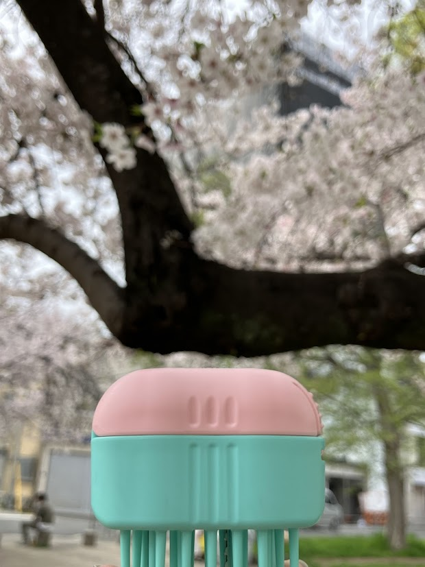 おはようございます🌸

今日の大阪は夕方ごろから雨予報ですが
まだ桜が完全に散らないよう
ヘアモンと一緒に願っています🥺🙏

今ならではの景色を目に焼きつけながら…
本日もよろしくお願いします🌸