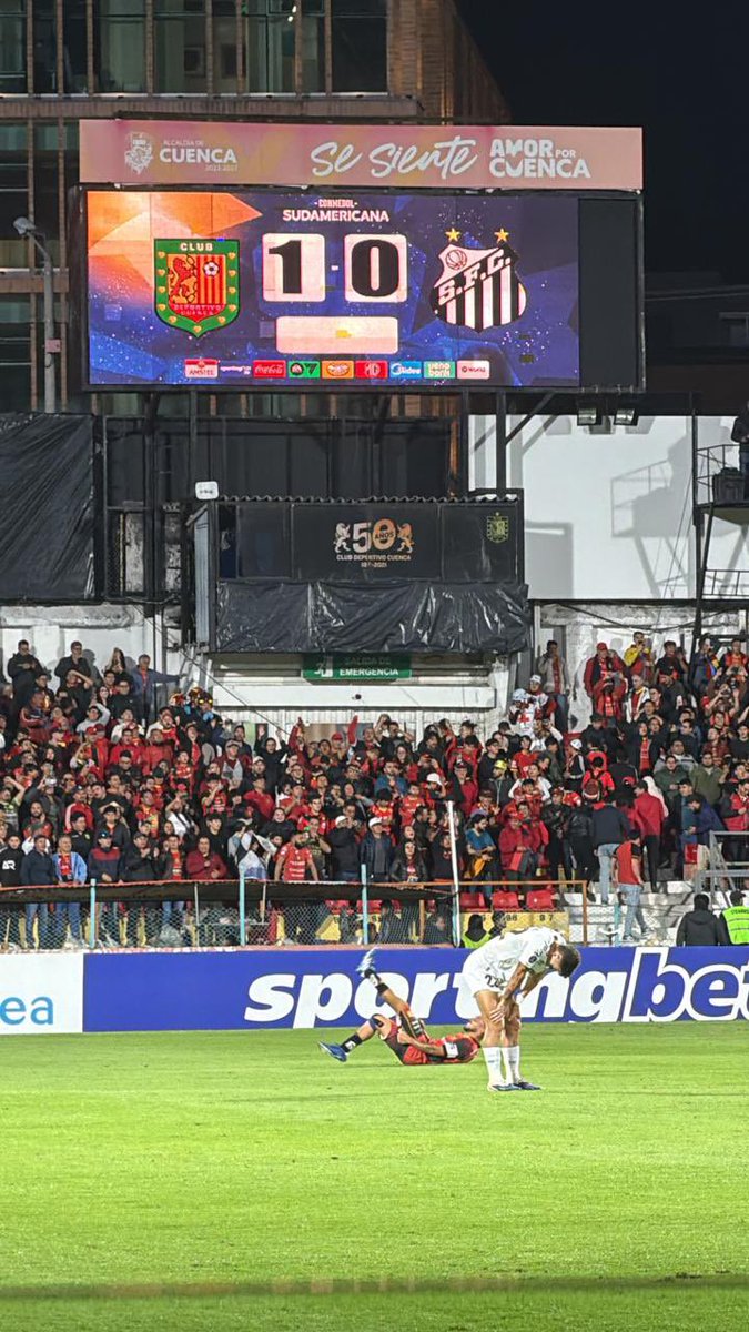 Cristian Zamora M tweet media