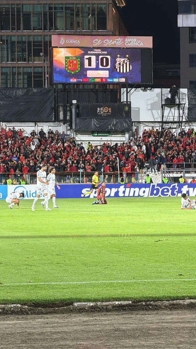 Cristian Zamora M tweet media