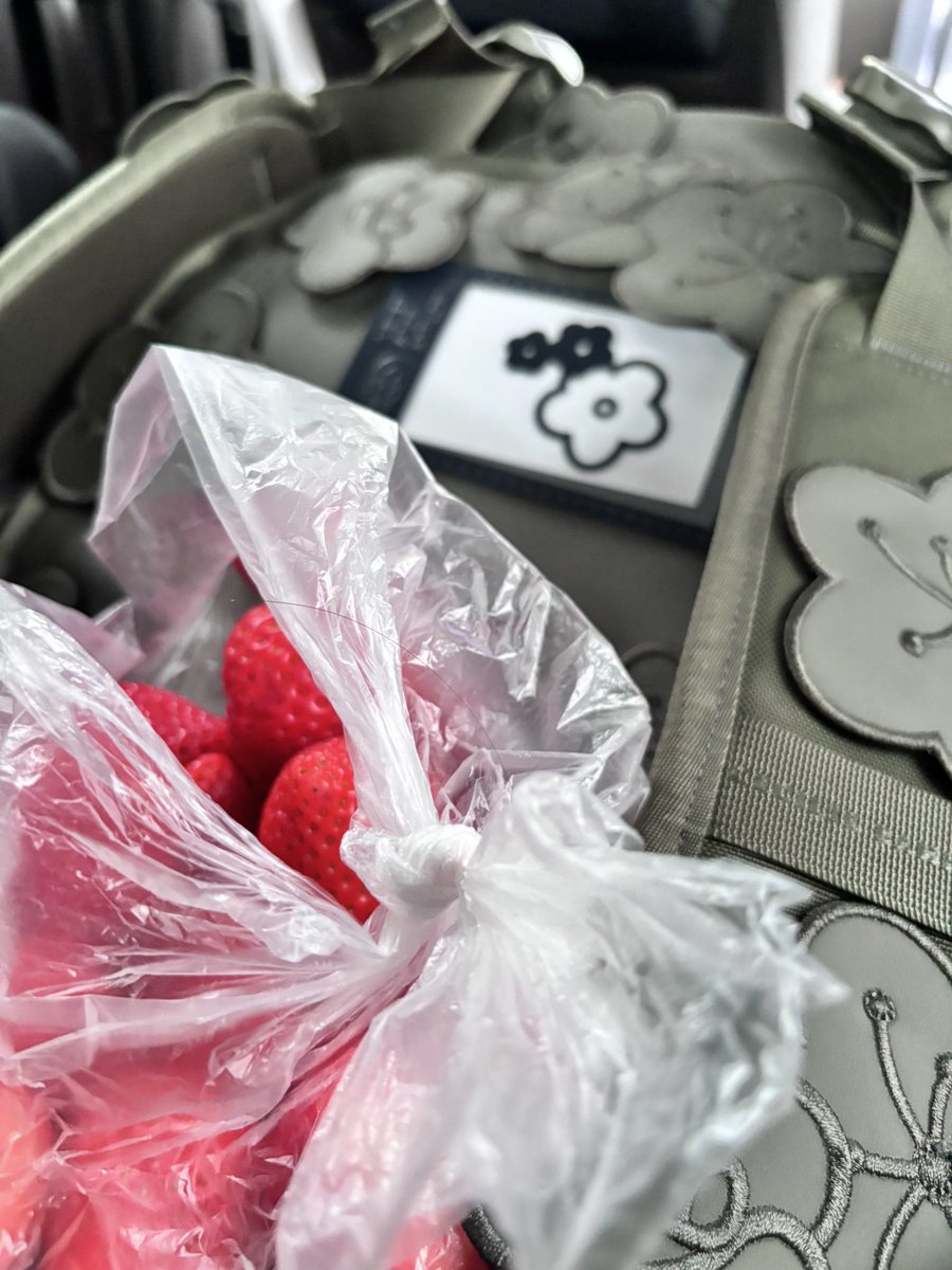 だるま🦭🛋️ tweet media