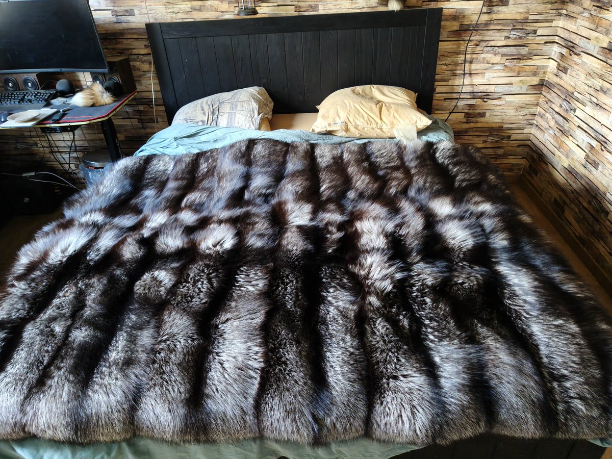 Tokala Tarka 🦊🦊 tweet media