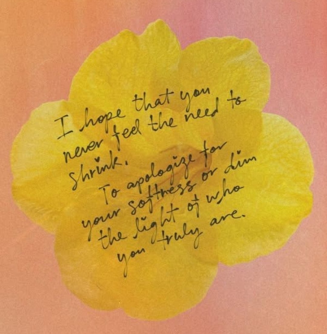 ✨️˜”*°•.˜”*°• 🌞•°*”˜.•°*”˜✨️ tweet media