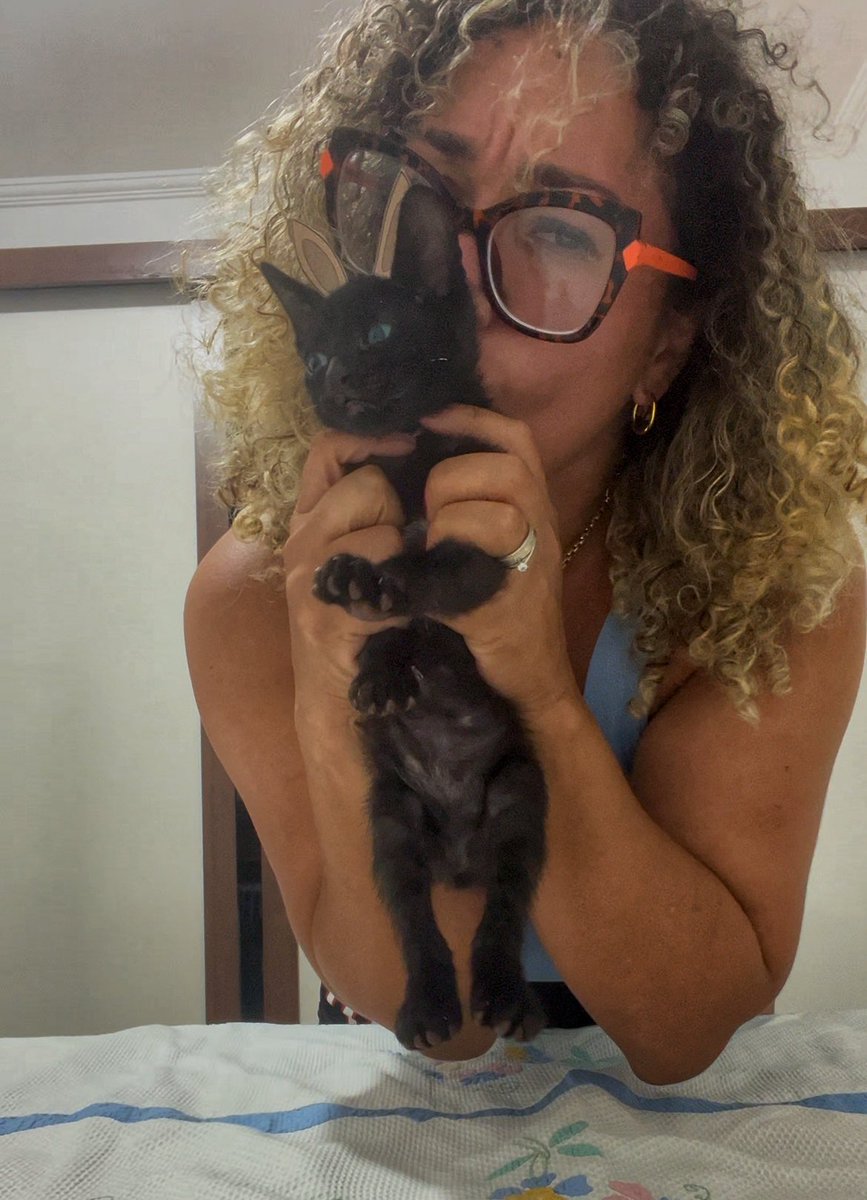 Jessicapratica's tweet photo. @brendasafra Adotei essa lindeza fazem 30 dias. Nunca tive gato na vida e estou amando muito sapeca. Desejo sorte a todos os gatinhos 🐱 https://t.co/940ej17Rs3