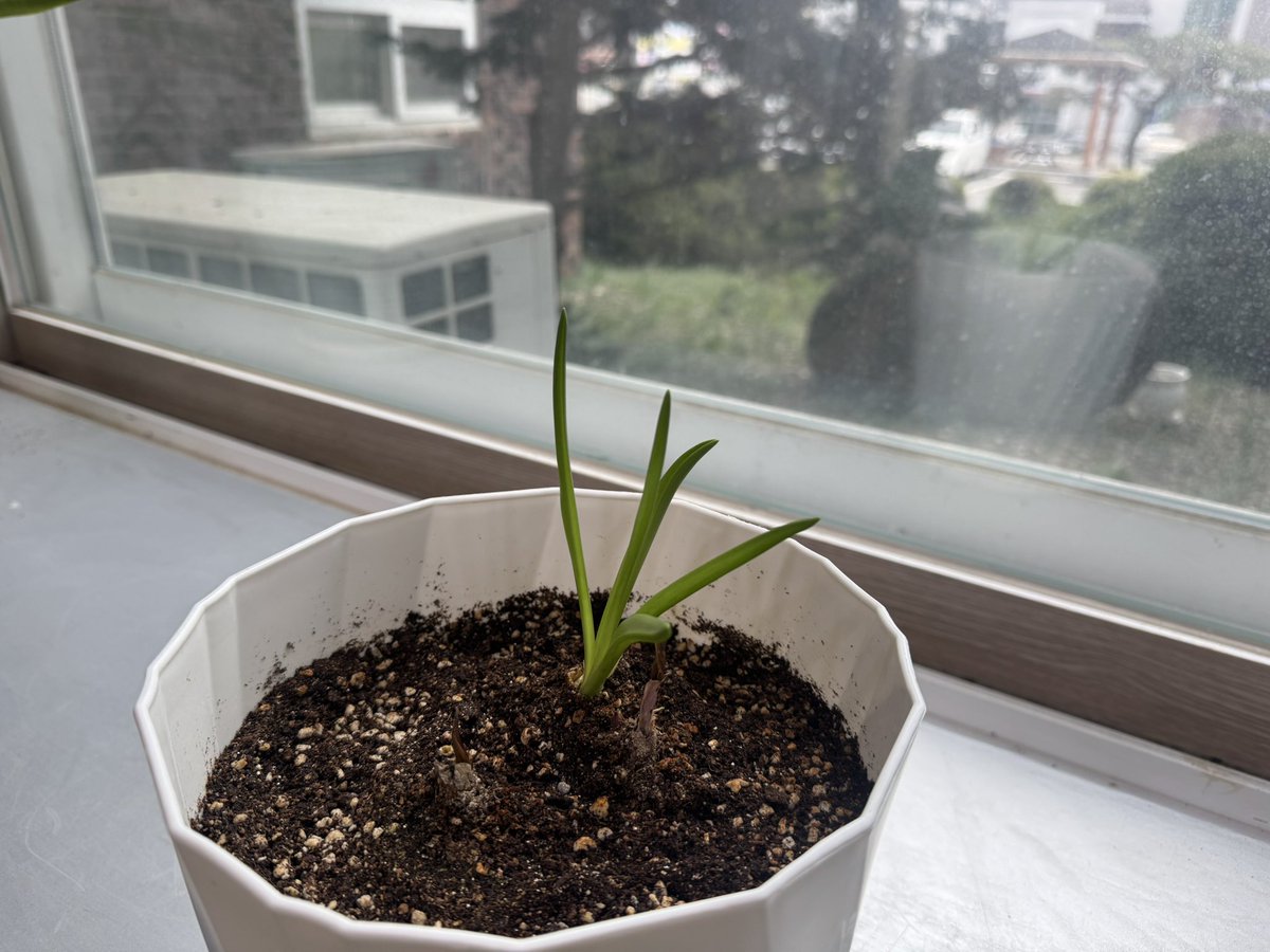 미틈달 초닷새🌱 tweet media