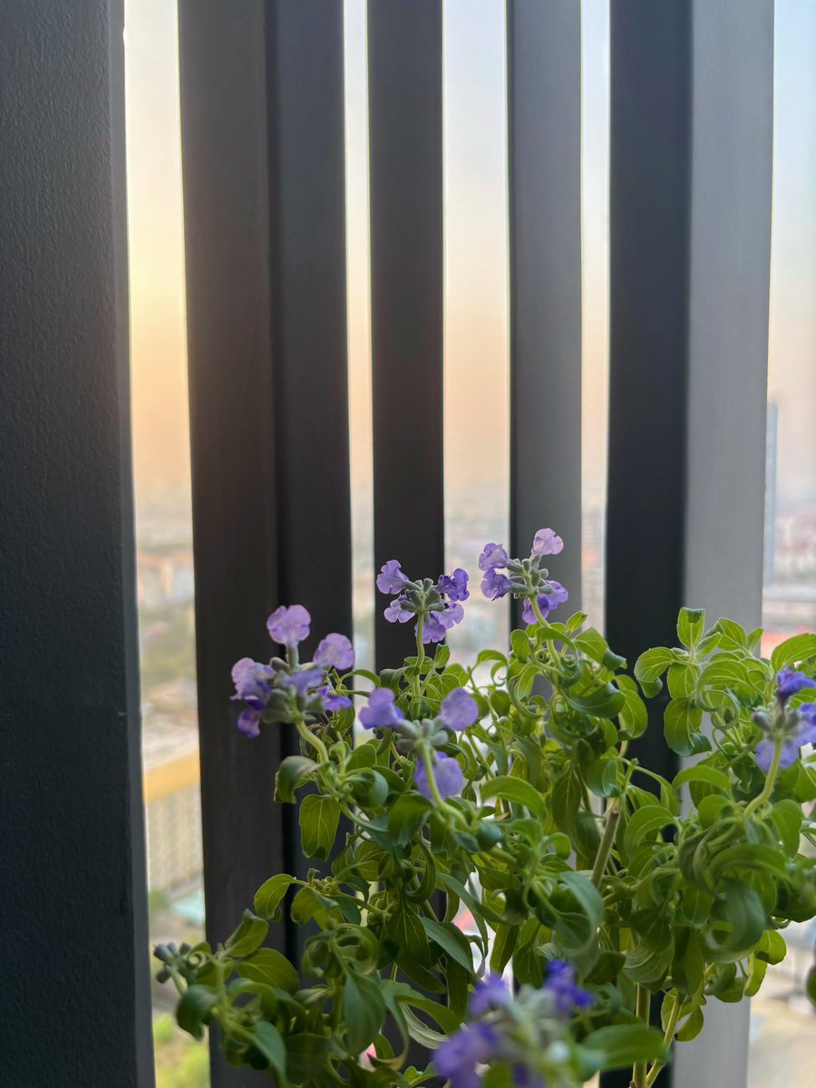 Cr_uzno's tweet photo. 06:55 ⛅️ https://t.co/dggo0aqqc8