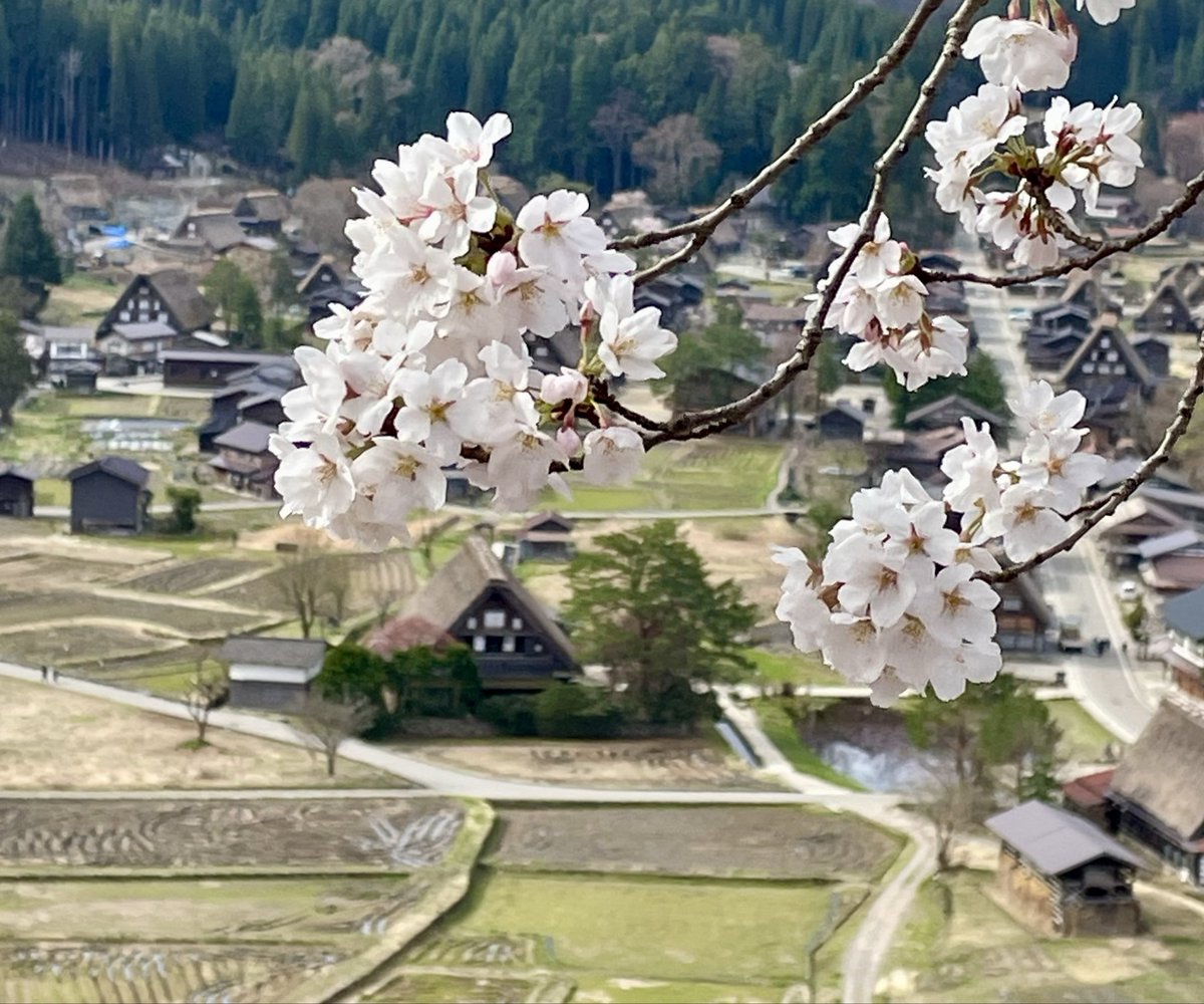 白川郷天守閣展望台 tweet media