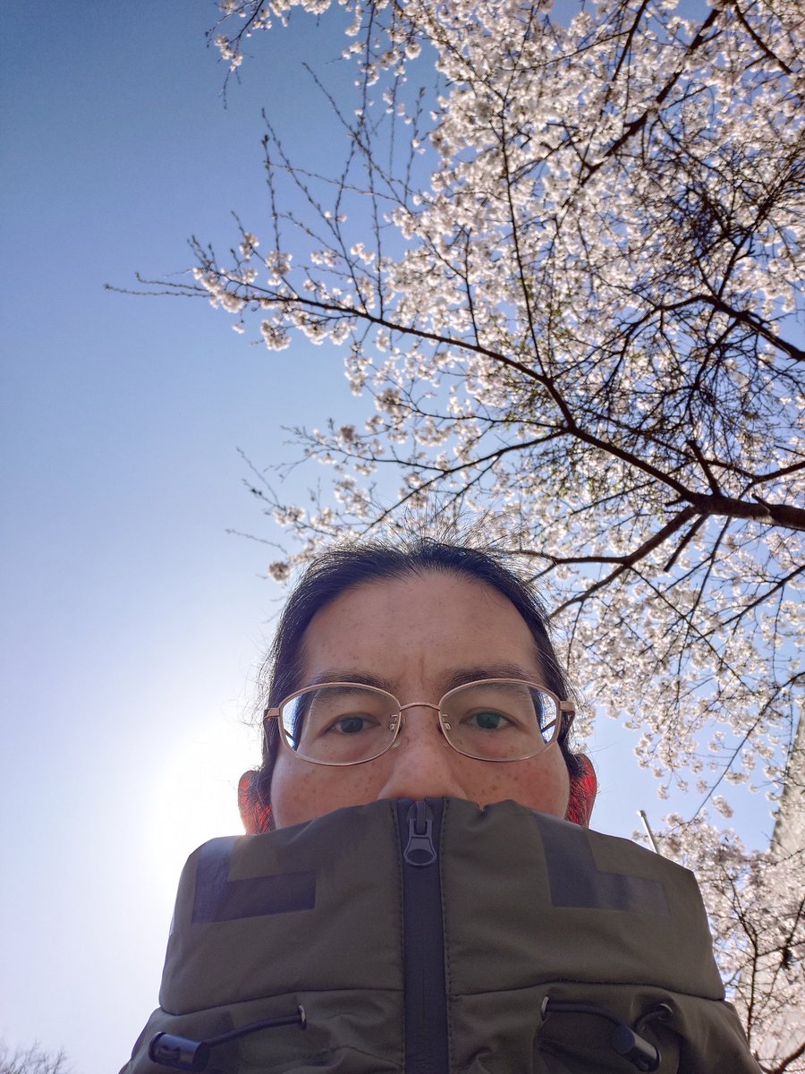 ホイ@英国（ちょろい変態）紳士( ´ ཫ ` ) tweet media