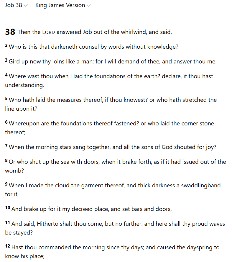 BoneyBob tweet media