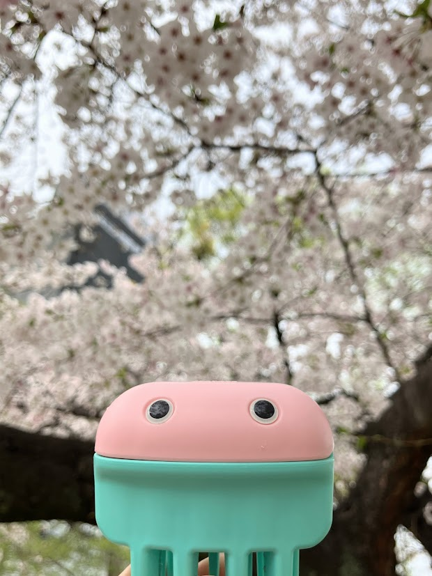 フェザーカミソリ【公式】 tweet media