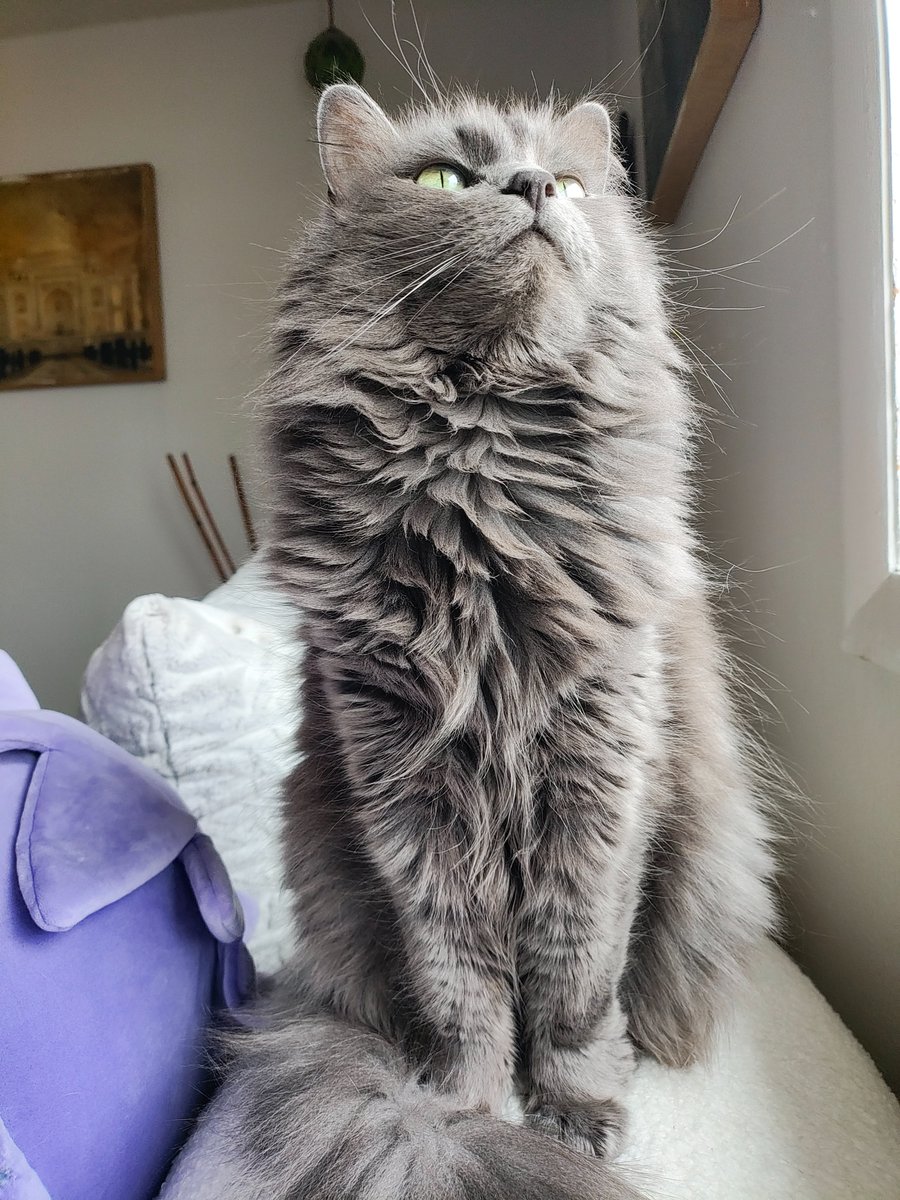 Princess Sephiroth 🍉 tweet media