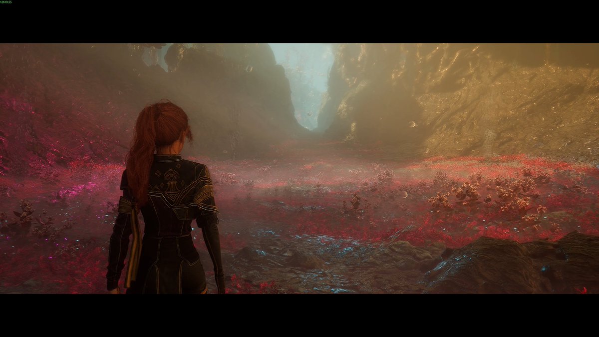 Poogie 😎 tweet media