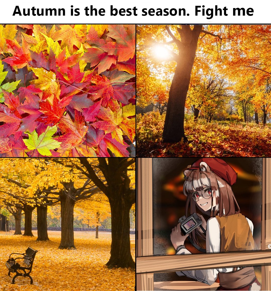 Alexe3962 tweet media