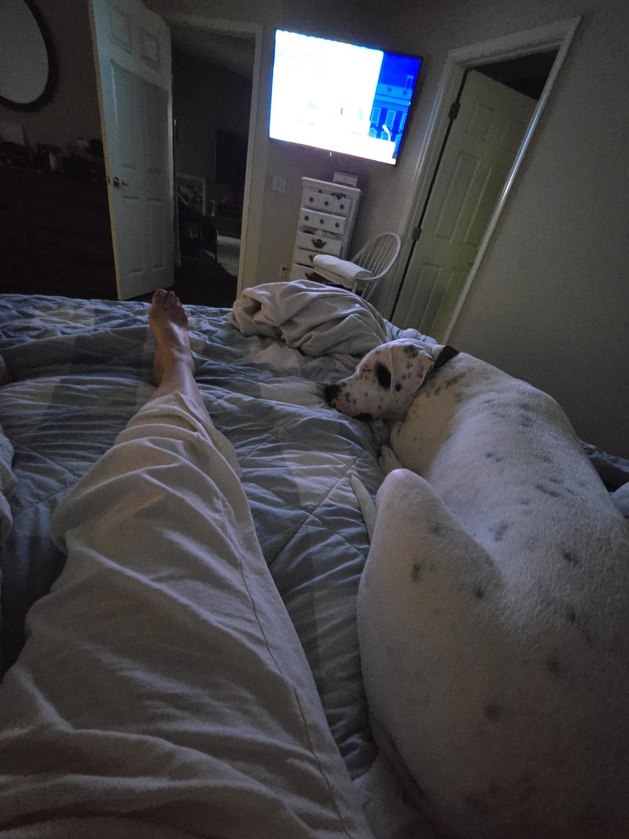 Tracy Camps tweet media