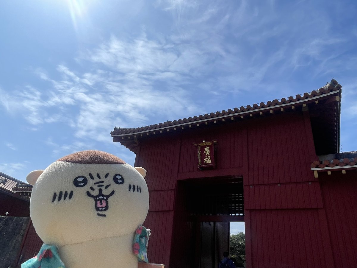 あらしちゃん🐈 tweet media